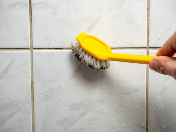 Best Best Mold Removal Companies  in Buckhead, GA